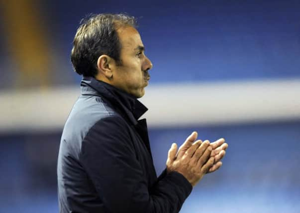 Owls manager Jos Luhukay.