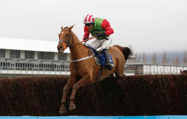 Definitly Red and Danny Cook clear the last fence before winning The BetBright Trial Cotswold Steeple Chase Race at Cheltenham on Saturday.