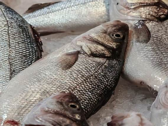 Frozen fish were forced into the freezer