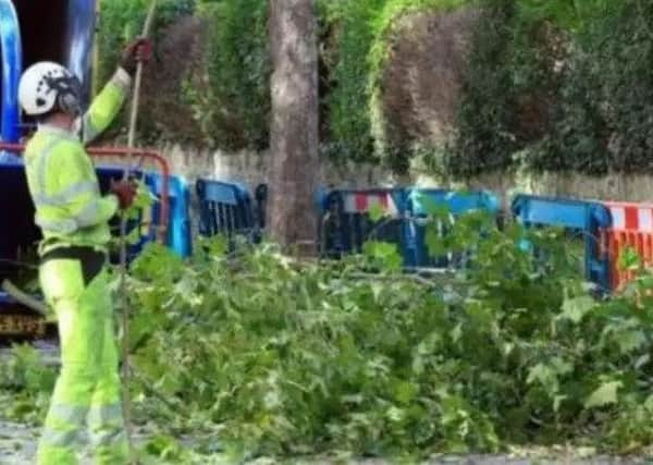 The tree felling scandal is eroding Sheffield's reputation.