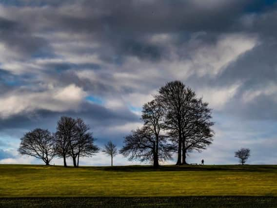 Roundhay Park. PIC: James Hardisty