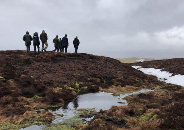 Blanket bogs consisting of peat are being restored.