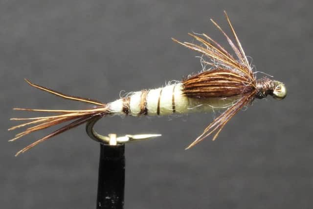 A Mayfly nymph, dressed by Stephen Cheetham.