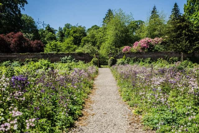 In the walled garden when all the roses come out or all the delphiniums bloom and have bees in them, in the woods when the snowdrops appear.