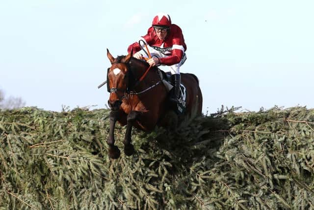 Davy Russell and Tiger Roll clear the last in the Grand National.