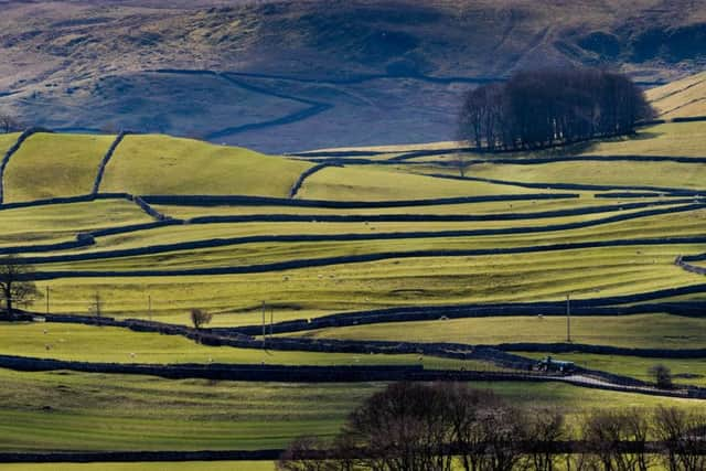 Younger generations are more engaged with taking about their wellbeing, according to Helen Benson, Yorkshire co-ordinator of The Farming Community Network.