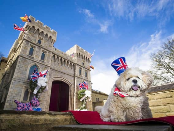 Archie poses outside his castle