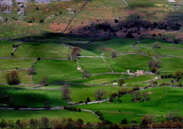 The Government's consultation over the future of food, farming and environmental policy closed this week.