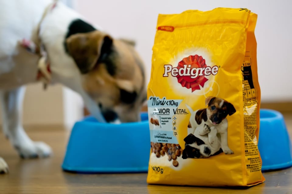 Pedigree dog 2024 food manufacturer